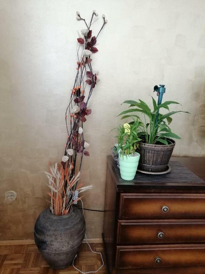 Apartman Maja Banja Luka Buitenkant foto